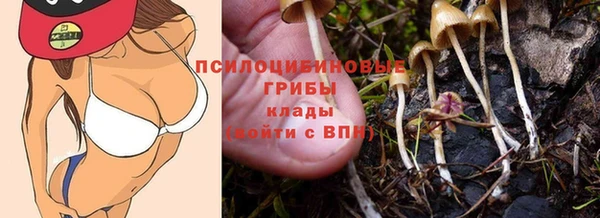 гидропоника Краснотурьинск