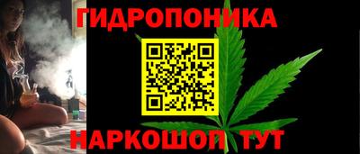 PSILOCYBIN Кинель