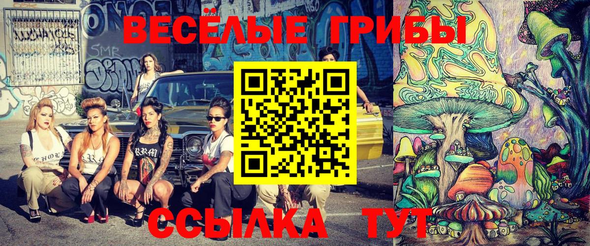 Галлюциногенные грибы Cubensis Элиста