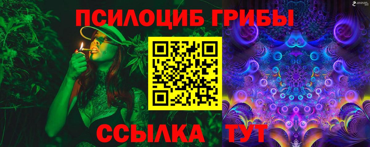 Псилоцибиновые грибы GOLDEN TEACHER  Галлюциногенные грибы MAGIC MUSHROOMS  Элиста  Вход с VPN 
