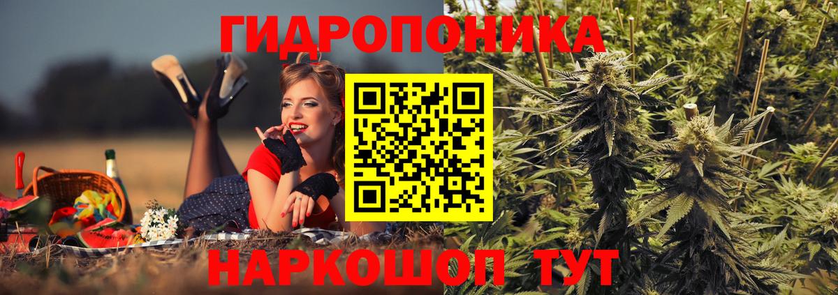 Элиста  Шишки марихуана Ganja  Конопля Amnesia  Вход с VPN 